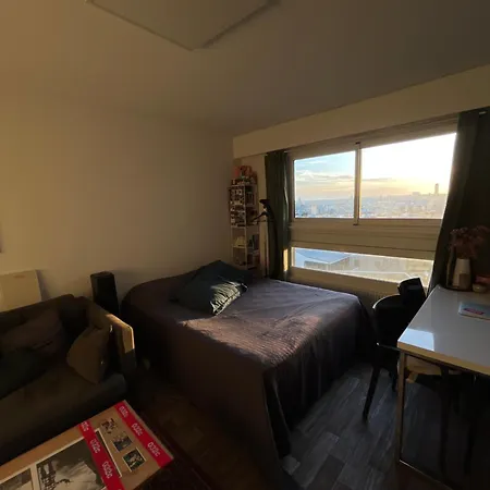Vue Toits De 11 * Paris